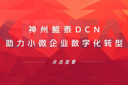 神州鲲泰DCN助力小微企业数字化转型