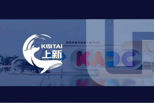 神州鲲泰亮相鲲鹏昇腾开发者大会2025，重磅发布教育行业一栈式智能开发平台